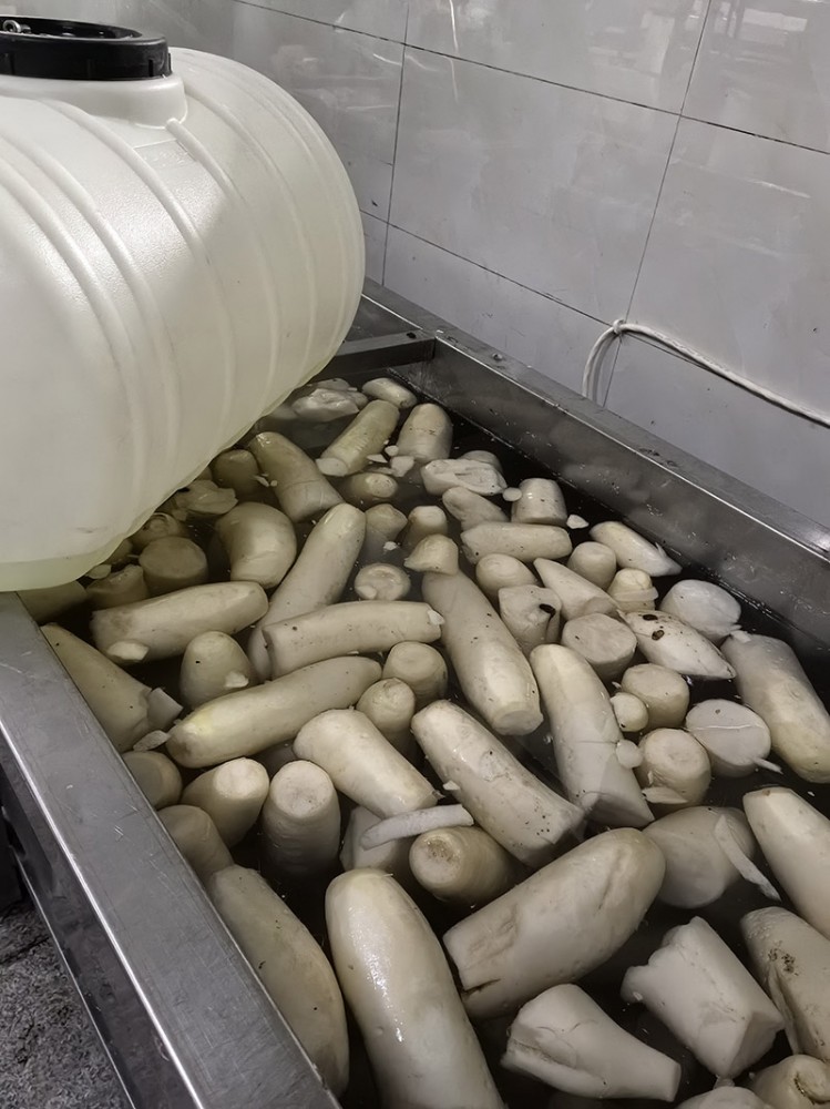 脫水蘿卜系列